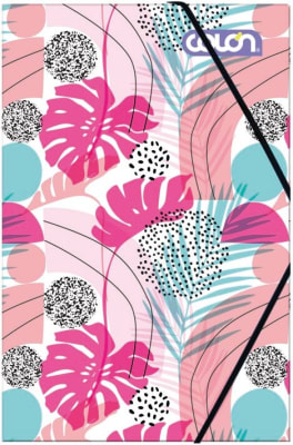 CARPETA CARTULINA CON ELASTICOS FEMINA COLON