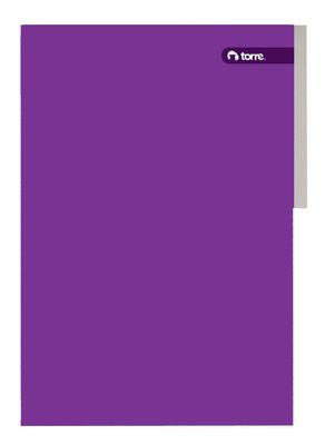 CARPETA PIGMENTADA MORADO