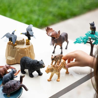 BALDE ANIMALES XL 22PCS ANIMALES DE AMERICA (VERDE)