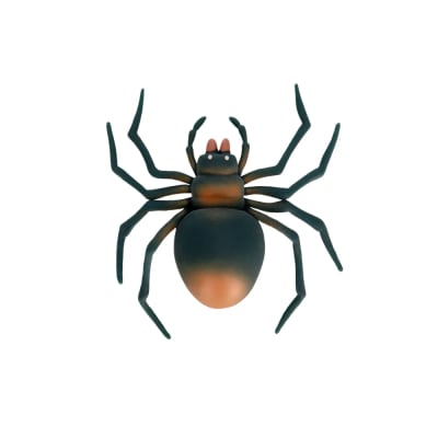 ANIMAL APRETABLE ANIMALIA ARAÑA NEGRA