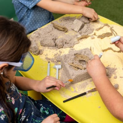 SET EXCAVACIÓN DINOSAURIO. MAMUT