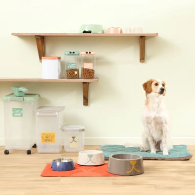 Contenedor Enlozado para Premios Mascotas 3,8 L