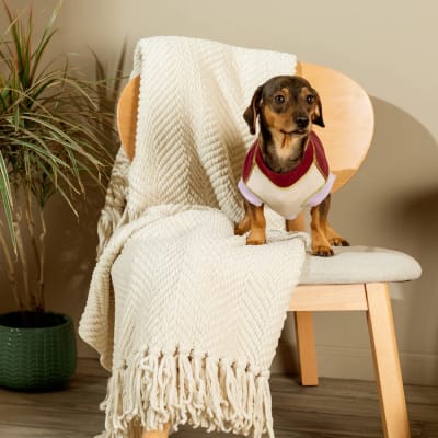 POLAR MASCOTA ROJO Y BEIGE