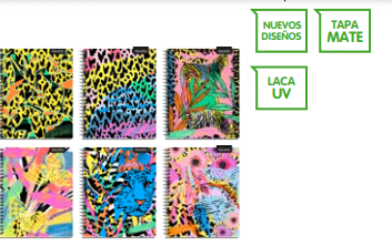 CUAD.UNIV PROARTE TED/ ED HOLA LEON 100 HJ 