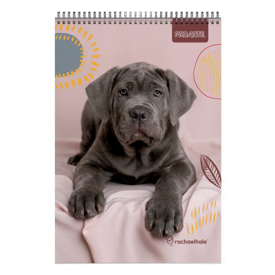 CROQUERA PROARTE ANIMALES ADORABLE 22X32 CM 80 HJ.