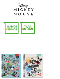 CUAD.  UNIV PROARTE TED/ ED MICKEY JUVENIL 100 HJ 