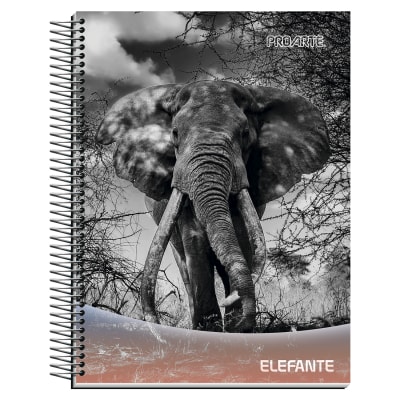 CUAD.PROARTE NATURE CARTA 120 HJ 7MM