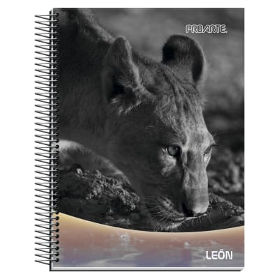 CUAD.PROARTE NATURE 4TA 150 HJ 7MM