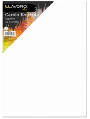 CARTON ENTELADO 22X30 CENTIMETROS LAVORO