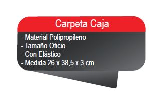 CARPETA CAJA C/ELASTICO OF. HOLOGRAFICA LAVORO