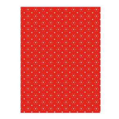 CARPETA C/PAPEL GOMA EVA PERFORADA  6 COL 6 PCS 20 X 30 CMS