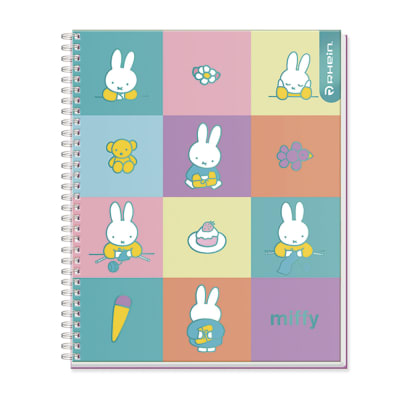 CUADERNO RHEIN UNIV MIFFY 100HJ C7MM