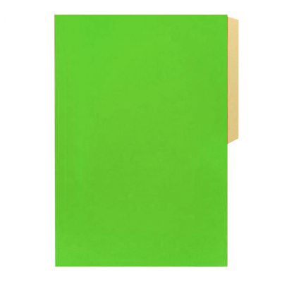 CARPETA PIGMENTADA VERDE