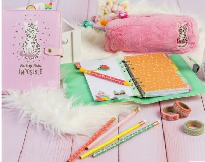 SET LÁPICES Y GOMAS