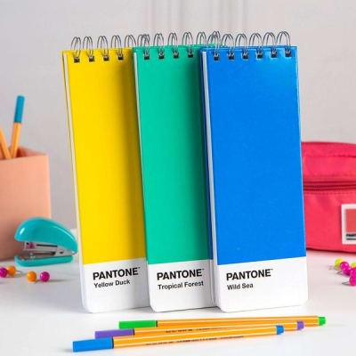 LIB.LARGA PANTONE AZUL