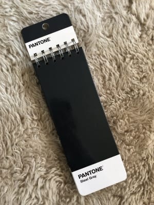 LIB.LARGA PANTONE GRIS