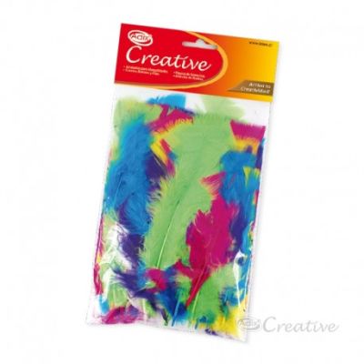 Pluma Color Surtido 14g (038) CREATIVE
