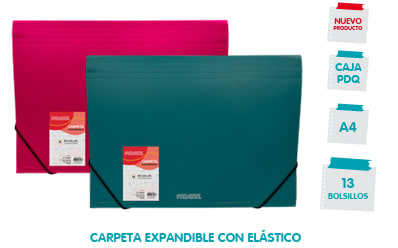 CARPETA EXPANDIBLE C/ELÁSTICO 13 BOLSILLOS A4 PROARTE