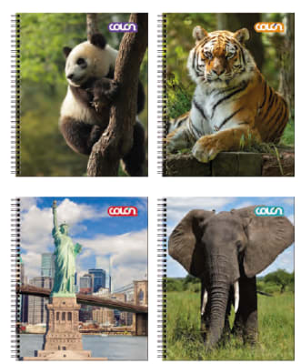 CUAD.UNIV TS UNISEX 7MM 100H COLON