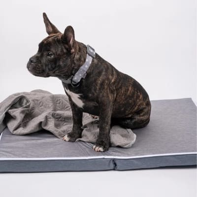 CAMA GRIS PLEGABLE MASCOTAS
