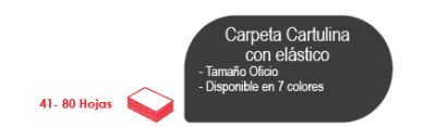 CARPETA C/ELASTICO ESTANDAR 41 A 80 HJS. VERDE CLARO FULTONS