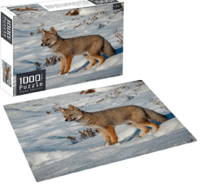 PUZZLE 1000PCS FAUNA CHILENA DISEÑO SURTIDO