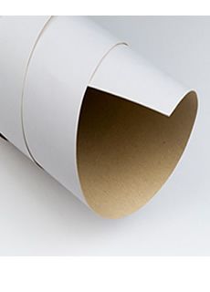 CARTON PINTADO,COLOR BLANCO