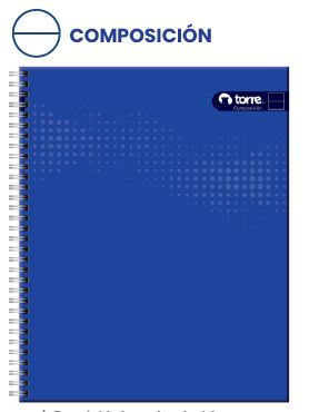 CUAD.UNIV.TORRE CLASICO LISO COMP  100H
