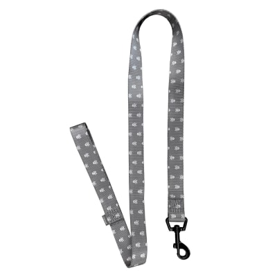 CORREA GRIS MASCOTAS