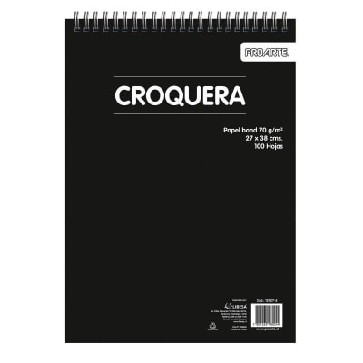 CROQUERA PROARTE 27X38 CM 100 HOJAS 