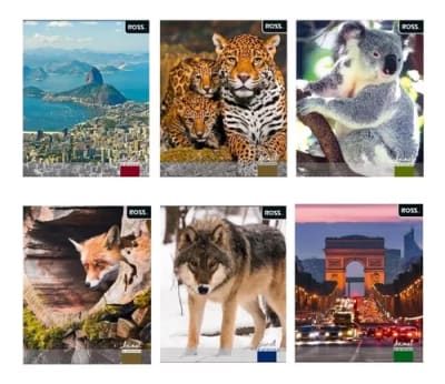 CUAD.UNIV ROSS TS/ED ANIMAL&PLA 100H CROQUIS