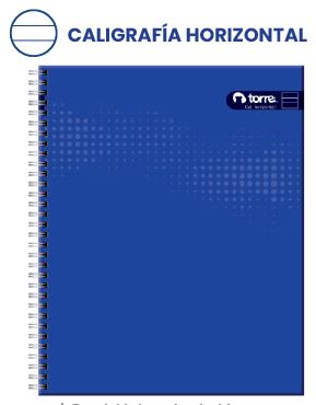 CUAD.UNIV.TORRE CLASICO LISO C.HORIZONTAL 100H