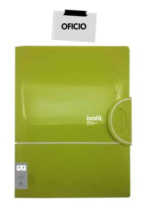 CARPETA DE REPORTES OFICIO ISOFIT-DSG