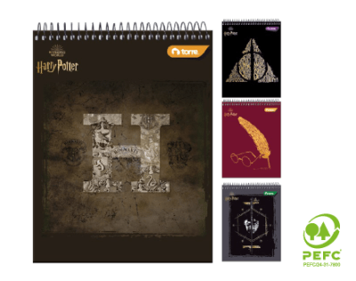 CROQ.PAD 16X21 HARRY POTTER 80H TORRE