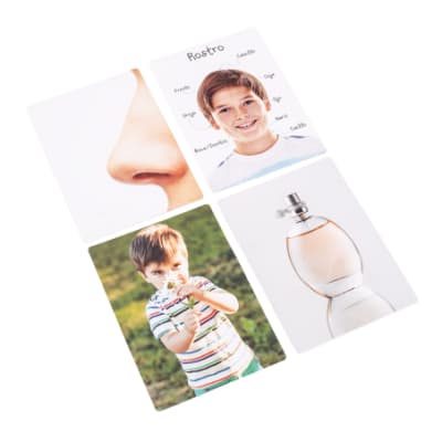 Lámina Partes del Cuerpo 17x12cm (088) DACTIC