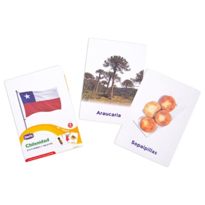 Lámina Chilenidad 20u 21x15cm (078) DACTIC