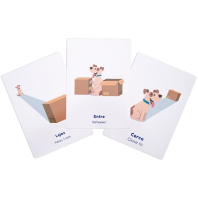 Lámina ¿Dónde está? 20u 21X15cm (085) DACTIC