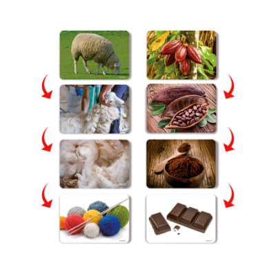 Lámina Proceso Productivo 17x12cm (058) DACTIC