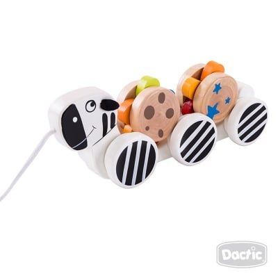 Arrastre Cebra (004) DACTIC