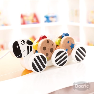 Arrastre Cebra (004) DACTIC