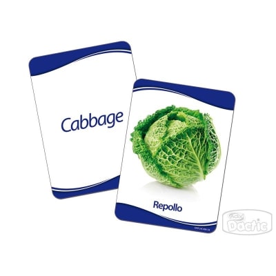 Lámina Alimento Saludable 17x12cm (406) DACTIC