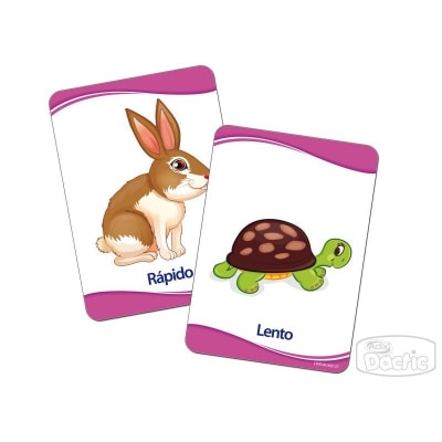 Lámina Concepto 17x12cm (012) DACTIC