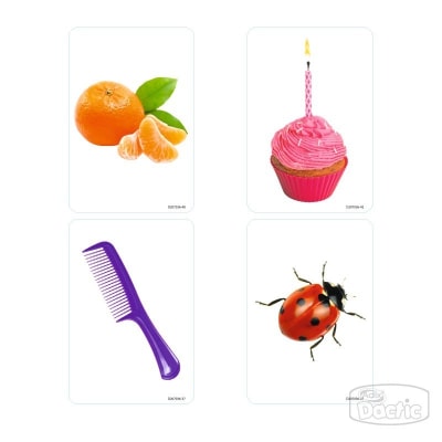 Lámina Relación Objeto/Color 12x8cm (036) DACTIC