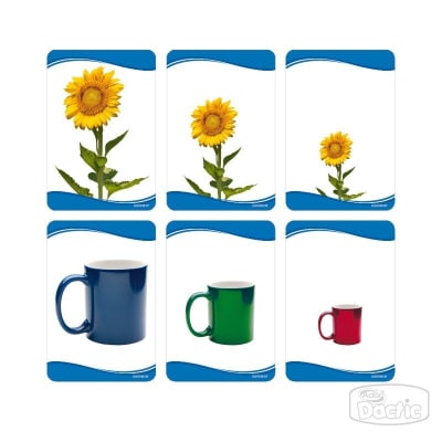 Lámina Secuencia Tamaño 12x8cm (038) DACTIC