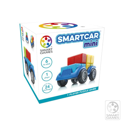 SmartCar Mini