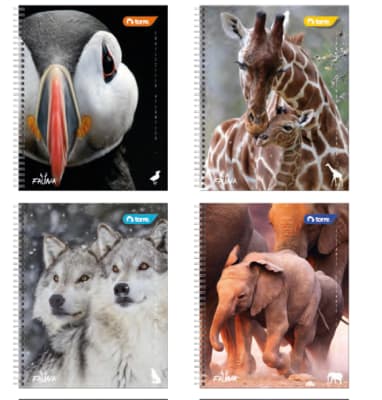 CUAD.UNIV.TORRE CLASICO FAUNA  7MM 100HJ SURTIDO CUAD.UNIV.TORRE CLASICO FAUNA  7MM 100HJ SURTIDO