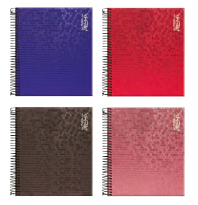 CUAD. BOOK PRISMA 5MM 120H TORRE