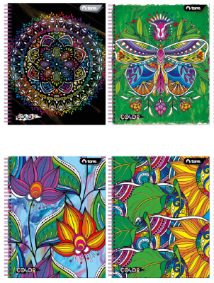 CUAD. UNIV.CLASICO COLOR 7MM 100HJ TORRE SURTIDO