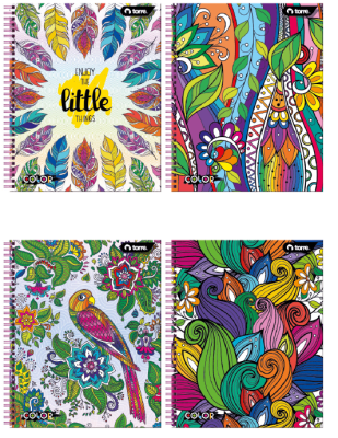 CUAD. UNIV.CLASICO COLOR 7MM 100HJ TORRE SURTIDO