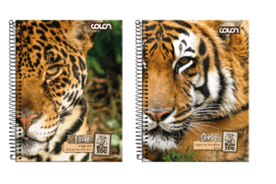 CUAD.TOP BUIN ZOO 7M 150H COLON